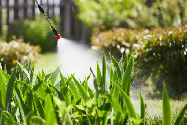 Tamper-Resistant Bait Stations for Rodents in Plummer