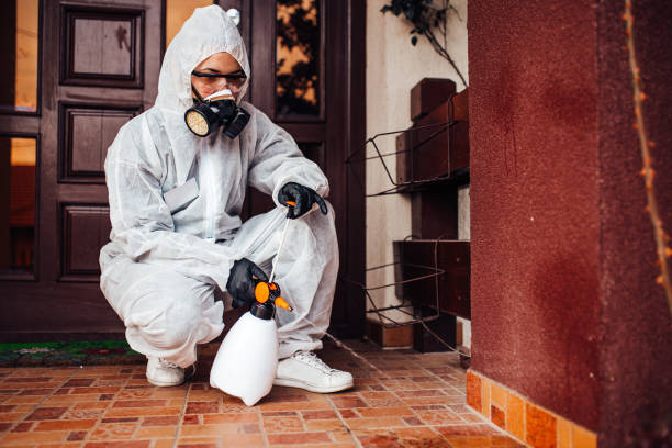 Attic and Crawl Space Rodent Treatment in Plummer